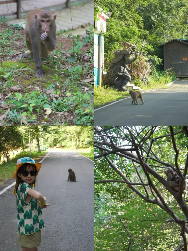 上海3h溯溪漂流避暑親子寶藏遛娃地
