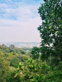 Baiyun Mountain: Your Epic Nature Retreat Near Guangzhou 🌄🌳