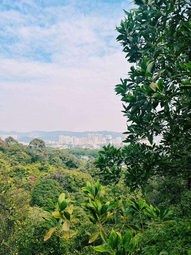 Baiyun Mountain: Your Epic Nature Retreat Near Guangzhou 🌄🌳