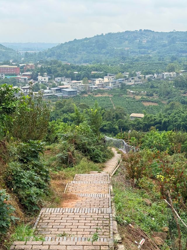 成都40min直達摘橘子視野無敵親子徒步地