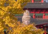 藏在鬧市的百年古寺，毗盧寺的寧靜與厚重，遠比想像中更動人