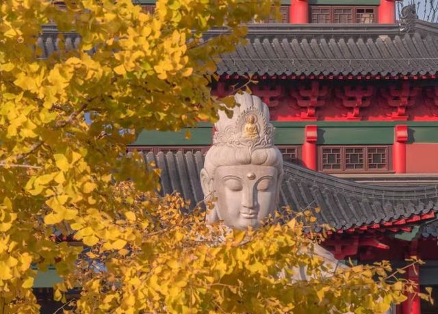 藏在鬧市的百年古寺，毗盧寺的寧靜與厚重，遠比想像中更動人