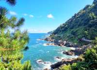 濟州島小眾玩法｜闖入Windows桌面和沉默導演的片場