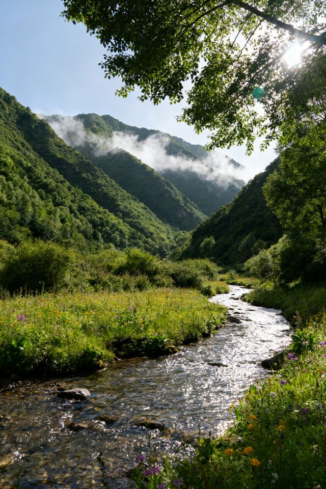 涇源避暑秘境18度的夏天在這裡! 涇源避暑秘境18度的夏天在這裡!
