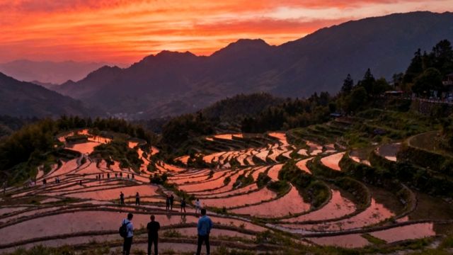 雲和梯田太絕了！浙江的神仙秘境