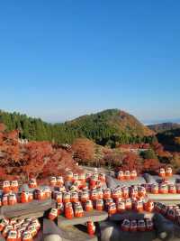 原以為京都已經夠美了,直到我來了大阪……