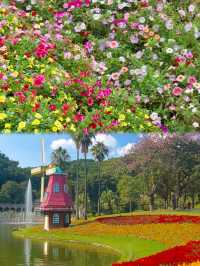 廣州 我宣佈這才是真正的花城!