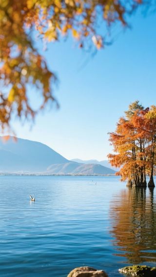November is rich with autumn vibes, perfect for family trips!