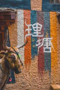 丁真家鄉深度遊：理塘必打卡景點！