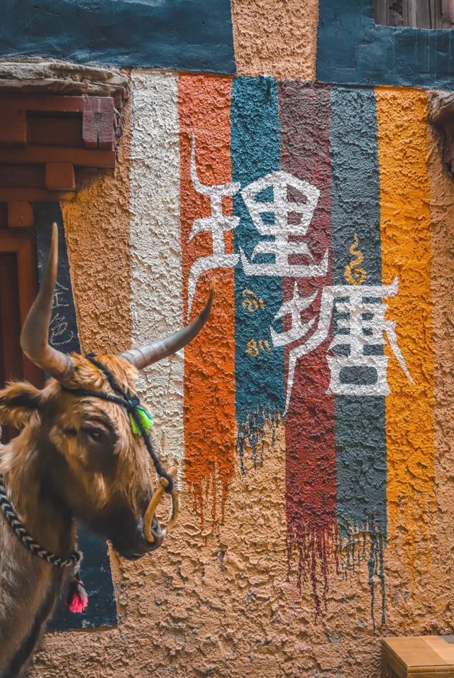 丁真家鄉深度遊：理塘必打卡景點！