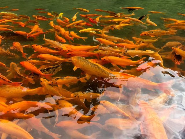 人在旅途、溫州 人在旅途、溫州