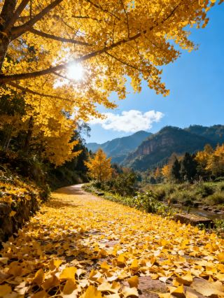 Bamboo charm hides a thousand years, fireflies illuminate Dongpo! Unlock the romance of intangible cultural heritage and landscapes