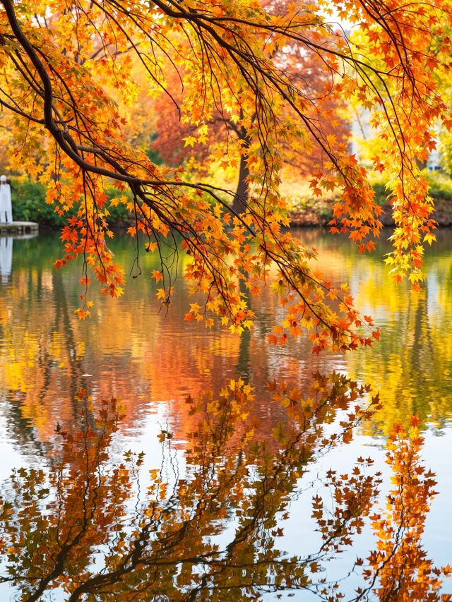 秋日仙境｜藏在雲平山的絕美調色盤