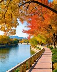 打卡唐風秋韻|邂逅城市邊的詩意與溫柔|收穫滿滿的治癒與快樂