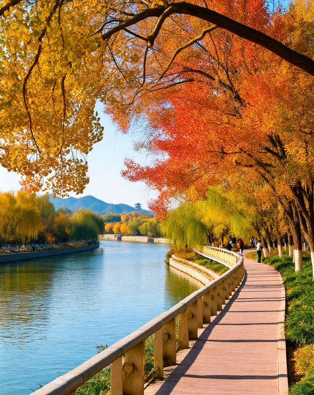 打卡唐風秋韻|邂逅城市邊的詩意與溫柔|收穫滿滿的治癒與快樂