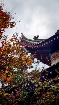 秋日去小雁塔感受歷史的厚重與自然和諧交融吧