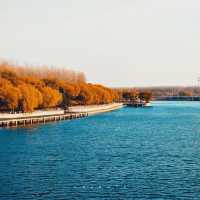 孔子故里0元暴走攻略