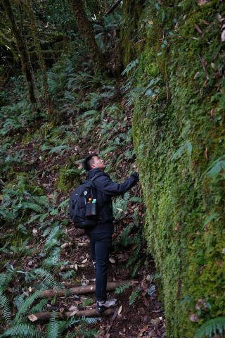 Gaoligong Fluffy Forest | Leave your fatigue in the mountains, tuck inspiration into your pocket