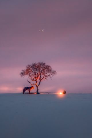 3日間で雪郷を満喫！ウランブトン冬の最上級プランを解放