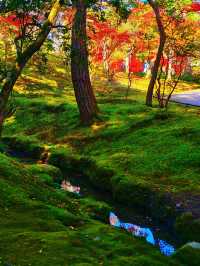 奈良依水園攻略關西最仙庭院被我發現啦!