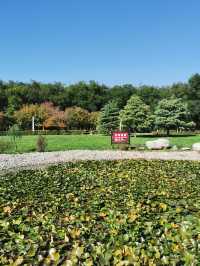 【河南省湯陰縣】城南公園。