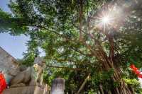 反向遊寶藏地：藏在雷州半島的嵐南村超海宮，煙火與信仰的治癒