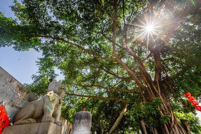 反向遊寶藏地：藏在雷州半島的嵐南村超海宮，煙火與信仰的治癒