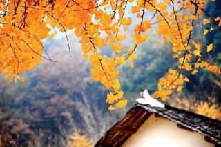 Recommended Off-the-Beaten-Path Travel Destinations with Fewer Crowds and Beautiful Scenery in November