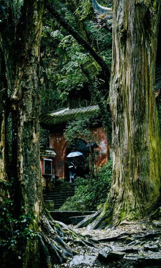 飛雲崖黃金拍攝點位全攻略5個點位拍出東方美學大片！