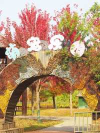 對不起,之前的宿遷洪澤湖攻略都過時了!