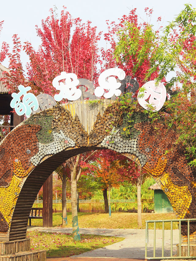 對不起,之前的宿遷洪澤湖攻略都過時了! 對不起,之前的宿遷洪澤湖攻略都過時了!