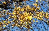 打卡舜皇山絕美四季|秋日限定彩林 & 冬季童話雲海