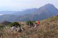 香港大東山,秋日芒草的夢幻之旅!