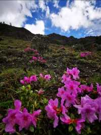 秋冬梅里雪山徒步全攻略日照金山+徒步安全指南