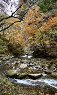陝西秋日封神之境！黎坪紅葉美到失語