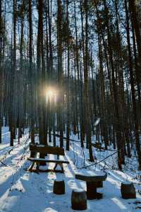 黑龍江受凍已回，真心建議大家…