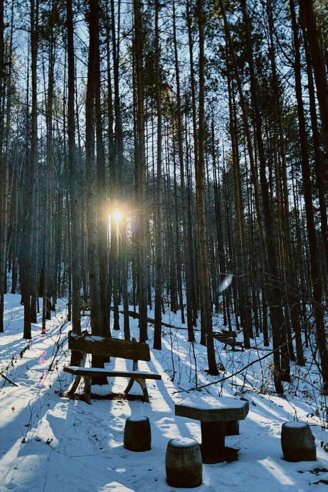 黑龍江受凍已回，真心建議大家…