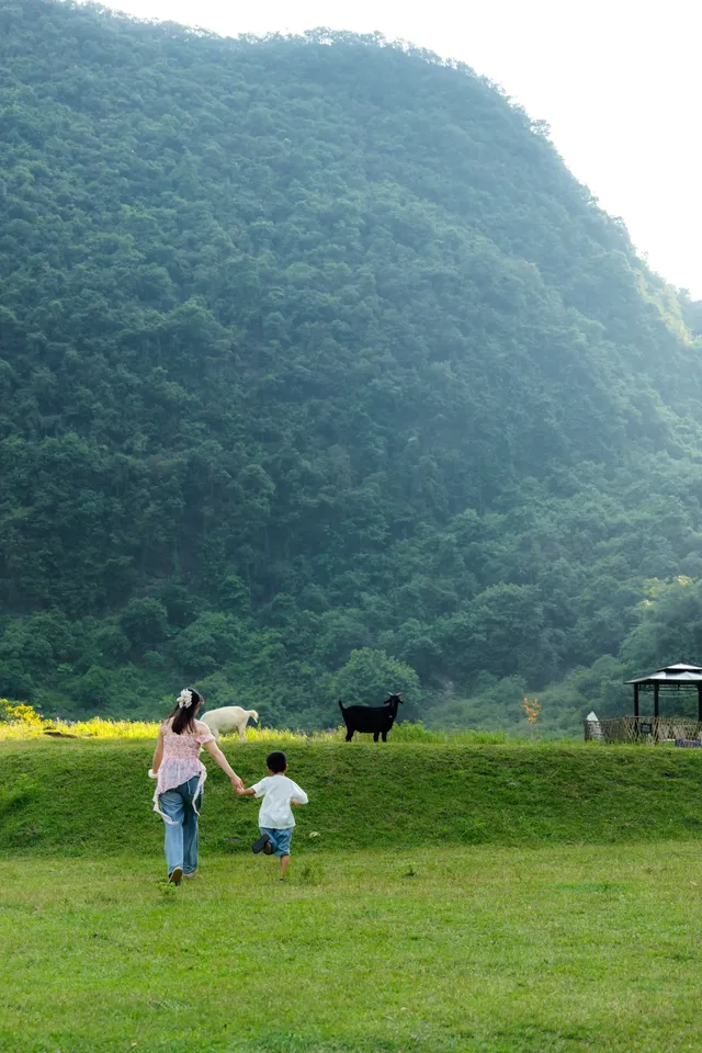 柳州鹿寨｜一定要來響水石林大草原｜Trip.com 鹿寨