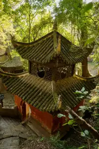 這一刻,沒有比飛雲崖更懂秋天的氣息