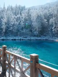 11.20九寨溝現狀，真心提醒未出行的寶