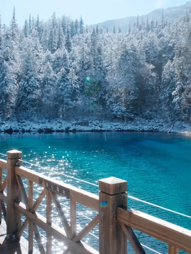 11.20九寨溝現狀，真心提醒未出行的寶