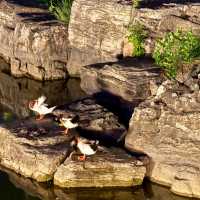太原迎澤公園|藏匿市中心的百年氧吧帶TA來呼吸歷史的味道