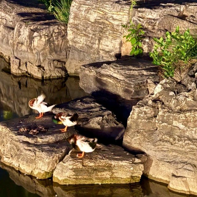 太原迎澤公園|藏匿市中心的百年氧吧帶TA來呼吸歷史的味道 太原迎澤公園|藏匿市中心的百年氧吧帶TA來呼吸歷史的味道