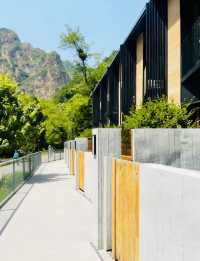 天冷就要泡這種湯