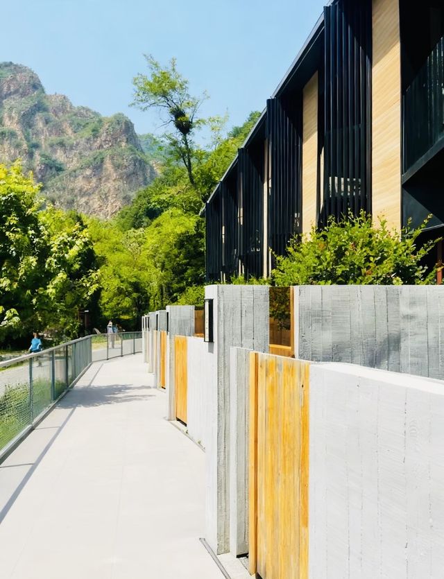 天冷就要泡這種湯