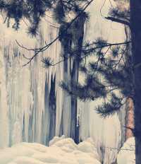 冬幻九寨365天倒映嘅仙境全部喺晒度喇 想逃離城市?一秒鐘墜入藍色仙境!九寨溝嘅冬天真係被嚴