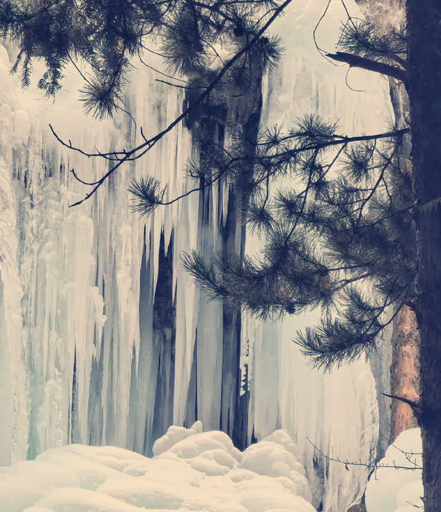 冬幻九寨365天倒映嘅仙境全部喺晒度喇 想逃離城市?一秒鐘墜入藍色仙境!九寨溝嘅冬天真係被嚴 冬幻九寨365天倒映嘅仙境全部喺晒度喇 想逃離城市?一秒鐘墜入藍色仙境!九寨溝嘅冬天真係被嚴