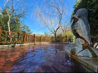 泰安人私藏溫泉!泰山腳下泡湯治癒全攻略