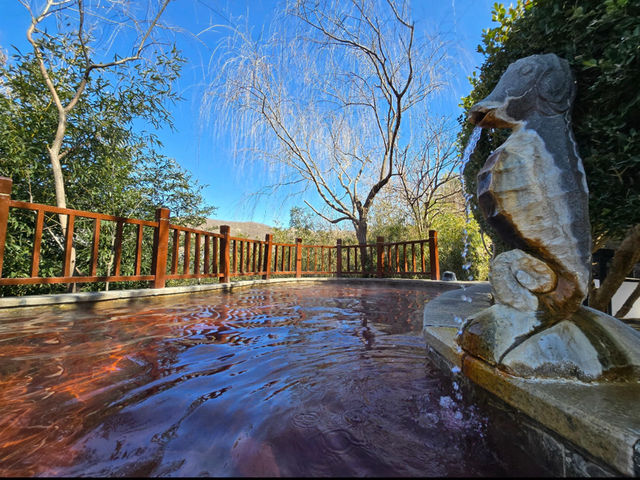 泰安人私藏溫泉!泰山腳下泡湯治癒全攻略 泰安人私藏溫泉!泰山腳下泡湯治癒全攻略