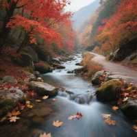 來蛟河紅葉谷開啟一場秋日的浪漫之旅吧